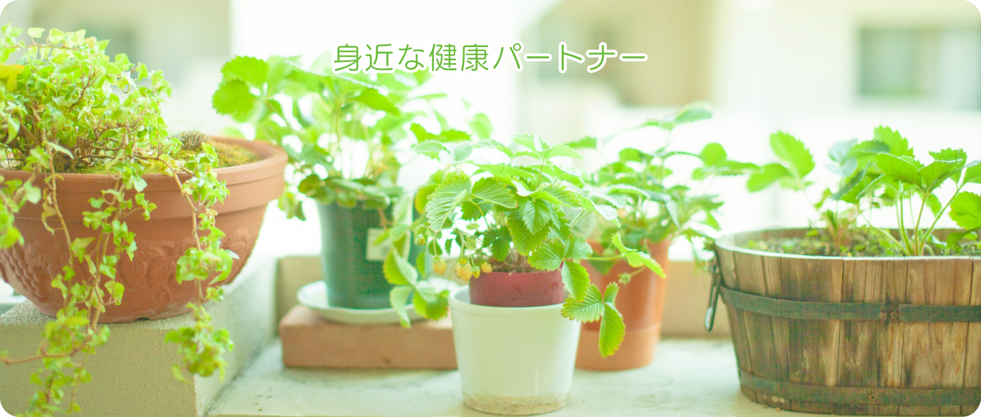 伊勢市中島、辻久留町停留所、眼科